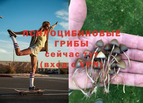 гидропоника Арсеньев