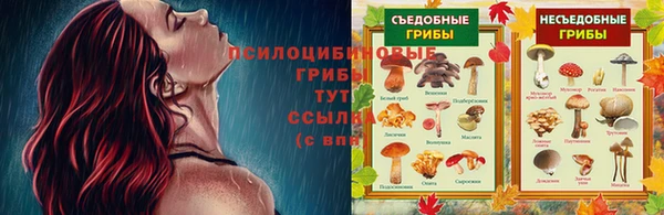 скорость Аркадак