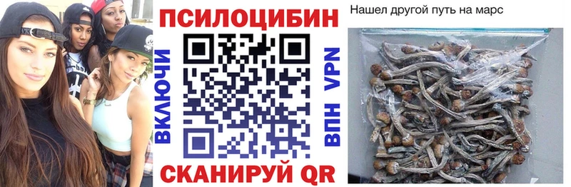 мориарти телеграм  закладки  Чадан  Псилоцибиновые грибы GOLDEN TEACHER 